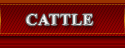 Beef Cattle Program